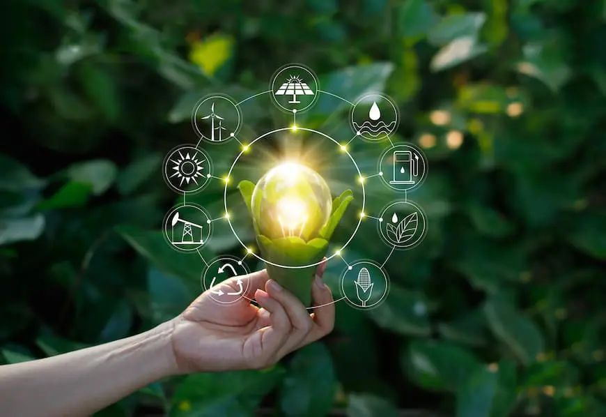 Ökostrom und erneuerbare Energien – Glühbirne mit grünem Blattwerk und Energie-Icons